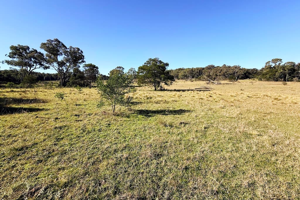 8/868 Jerrara Road, Marulan, NSW, 2579, Marulan - Thumbnail 2