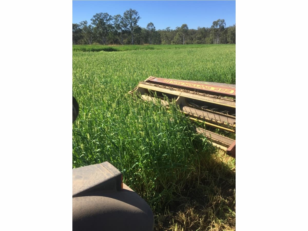 197 Brickworks Road, Bushley QLD, Bushley - Thumbnail 2