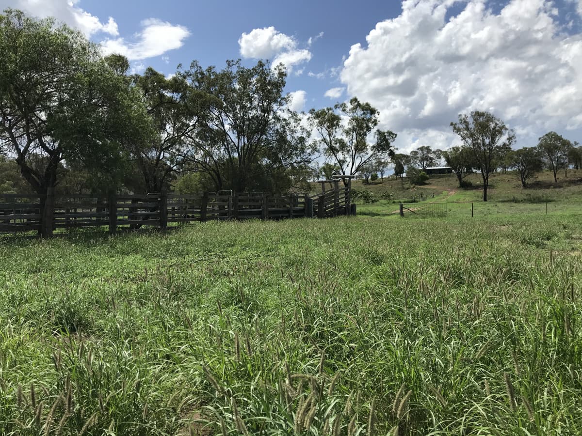 287 Brickworks Road, Kalapa QLD, Kalapa - Thumbnail 3