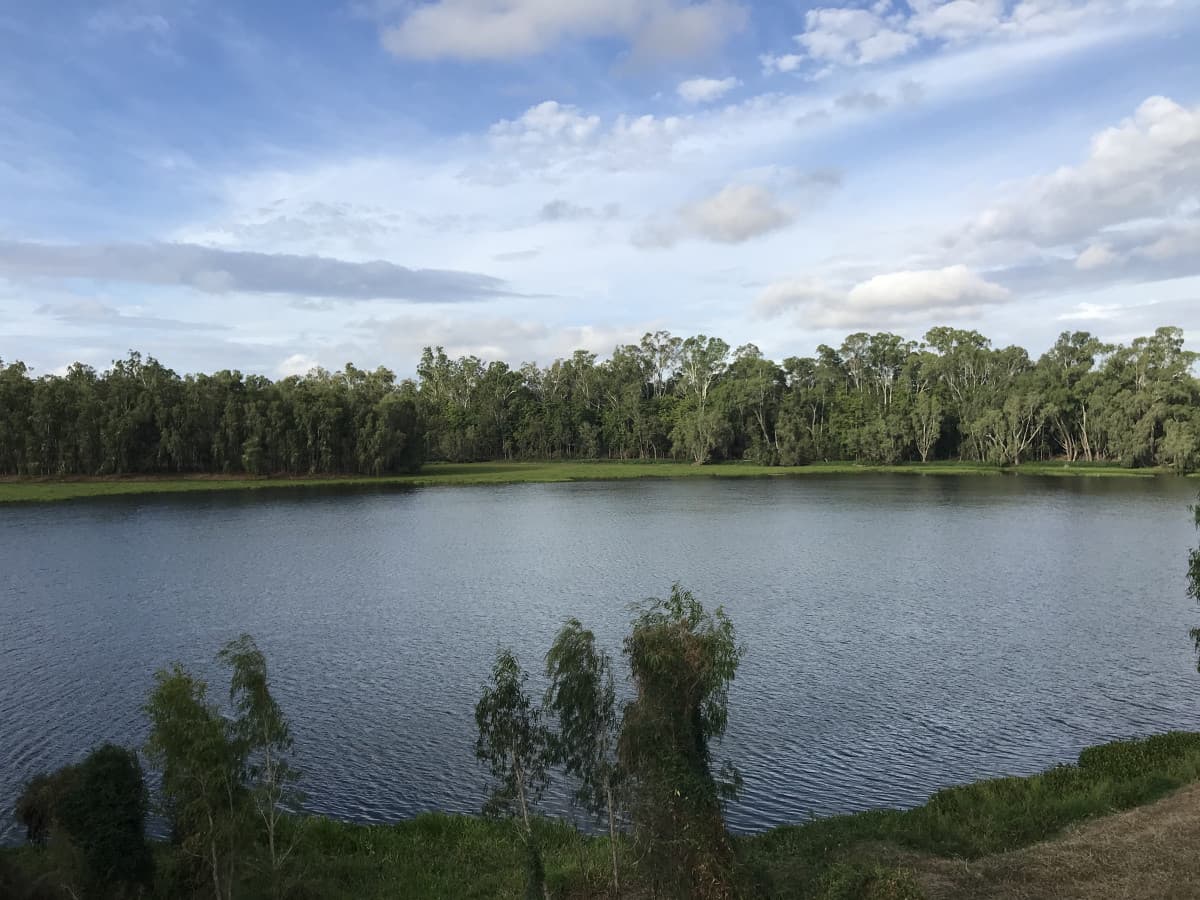 564 South Yaamba Road, South Yaamba QLD, South Yaamba - Image 1