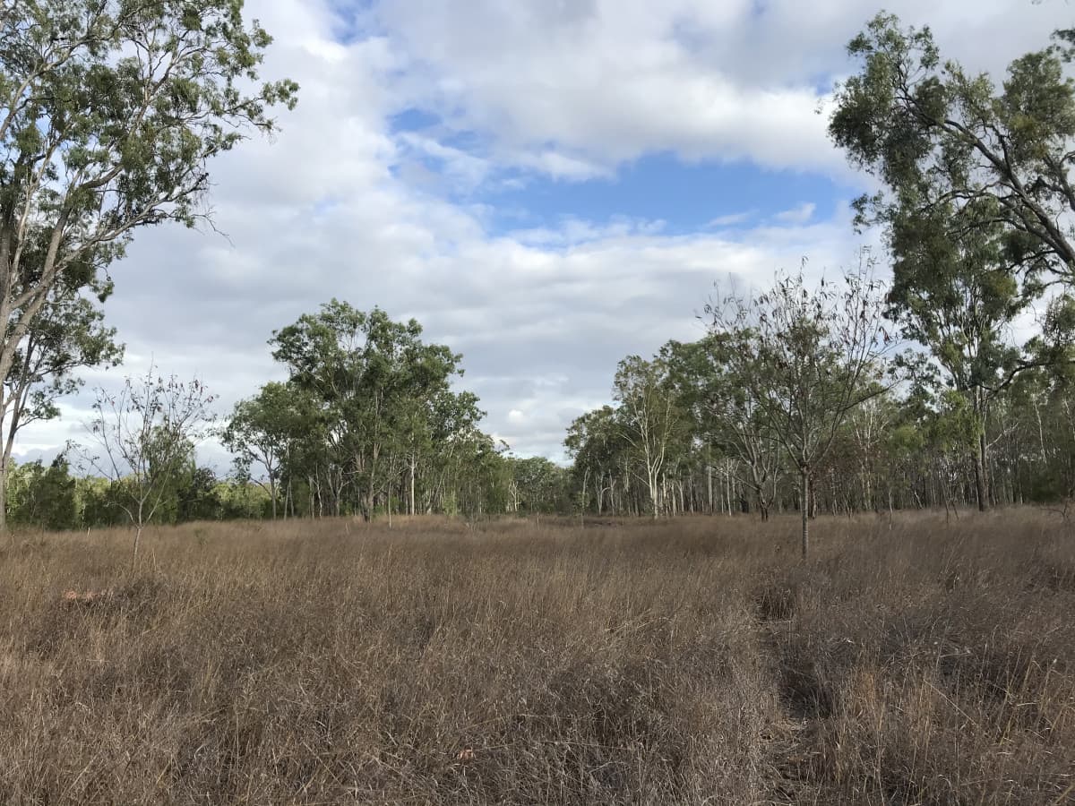 564 South Yaamba Road, South Yaamba QLD, South Yaamba - Thumbnail 3