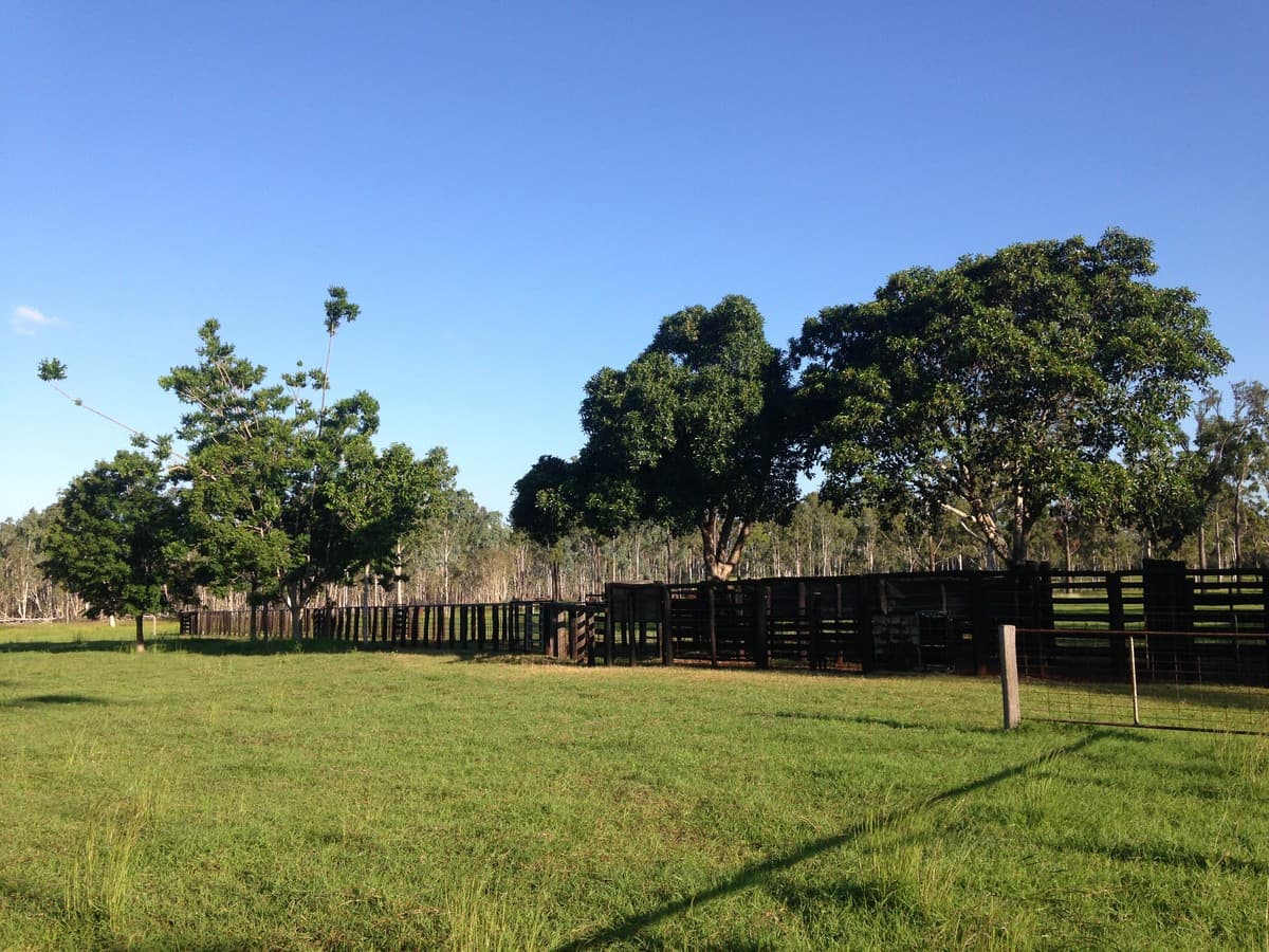 166 Sherwins Road, Jardine QLD, Jardine - Thumbnail 2