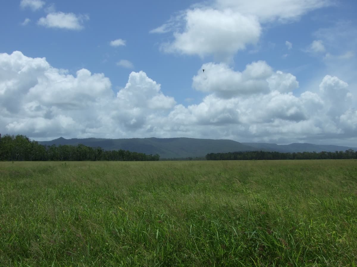 81193 Bruce Highway, St Lawrence QLD, St Lawrence - Image 1