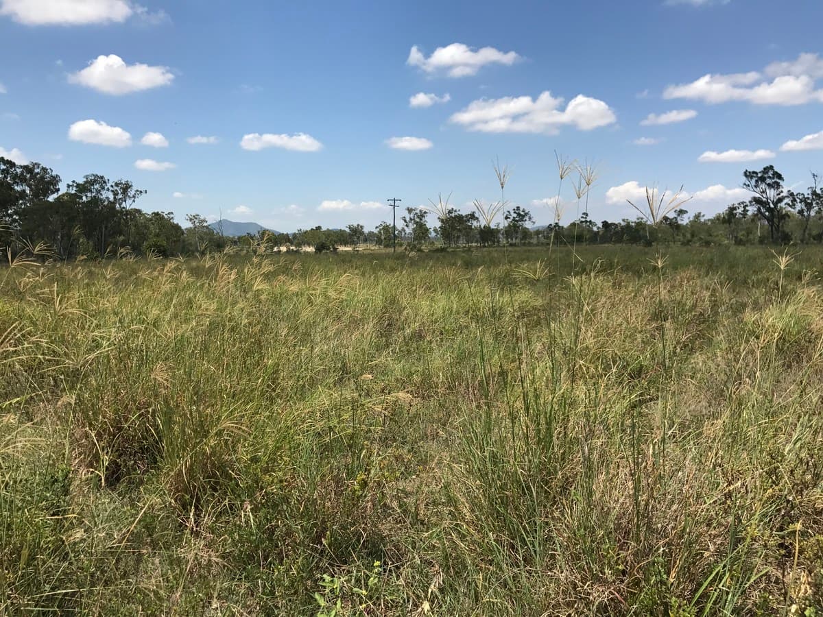 268 Old Coach Road, Bajool QLD, Bajool - Thumbnail 3