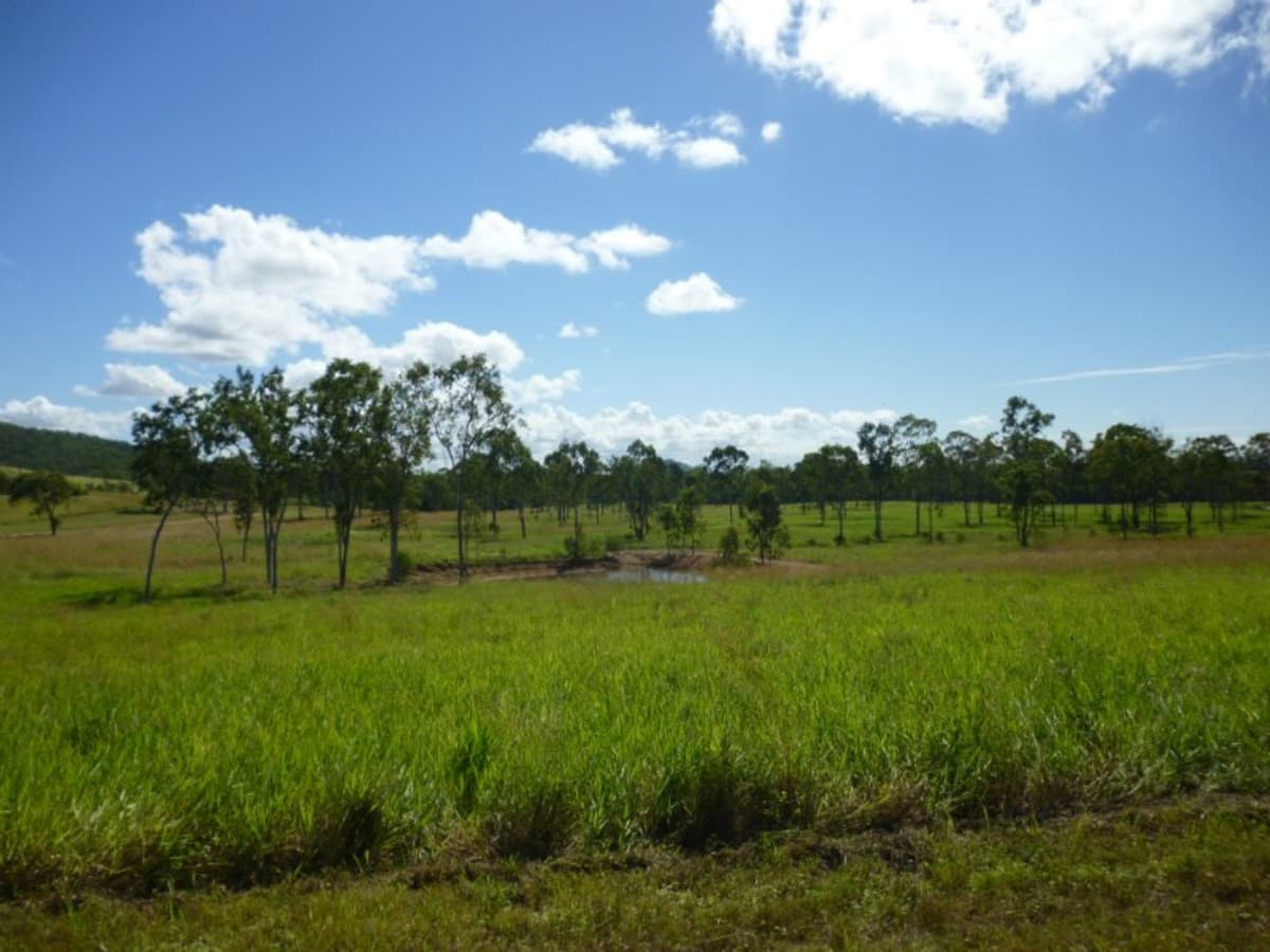 1135 Mt Chalmers Rd, Mount Chalmers QLD, Mount Chalmers - Image 1
