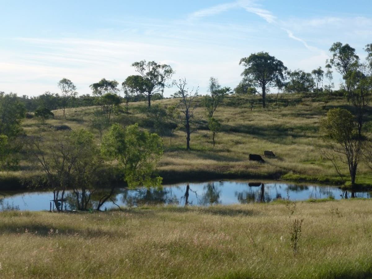 748 Belmont Road, Glenlee QLD, Glenlee - Thumbnail 2