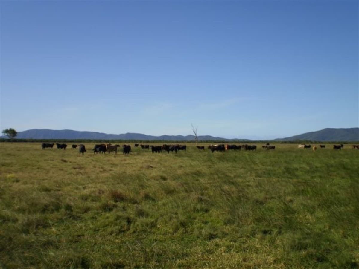 . Casuarina Road, Midgee QLD, Midgee - Image 1