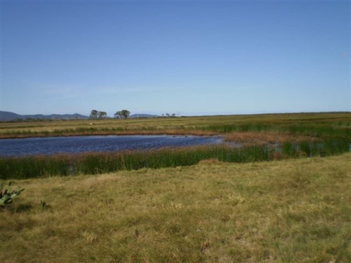 . Casuarina Road, Midgee QLD, Midgee - Thumbnail 2