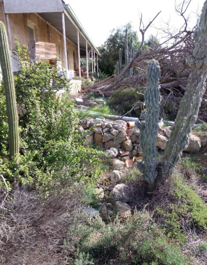 19-21 Adams Street, Blanchetown SA 5357, Blanchetown - Thumbnail 6