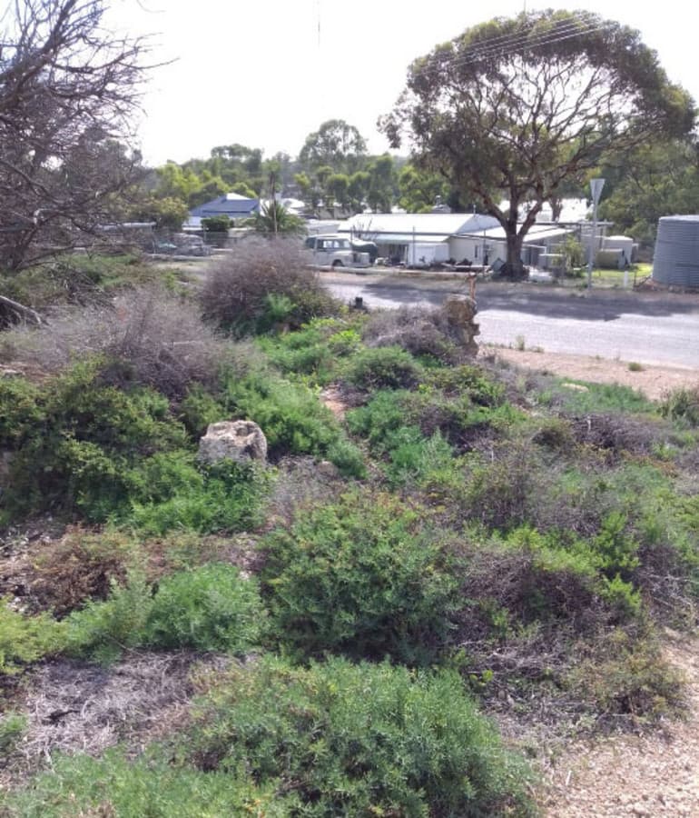 19-21 Adams Street, Blanchetown SA 5357, Blanchetown - Thumbnail 7