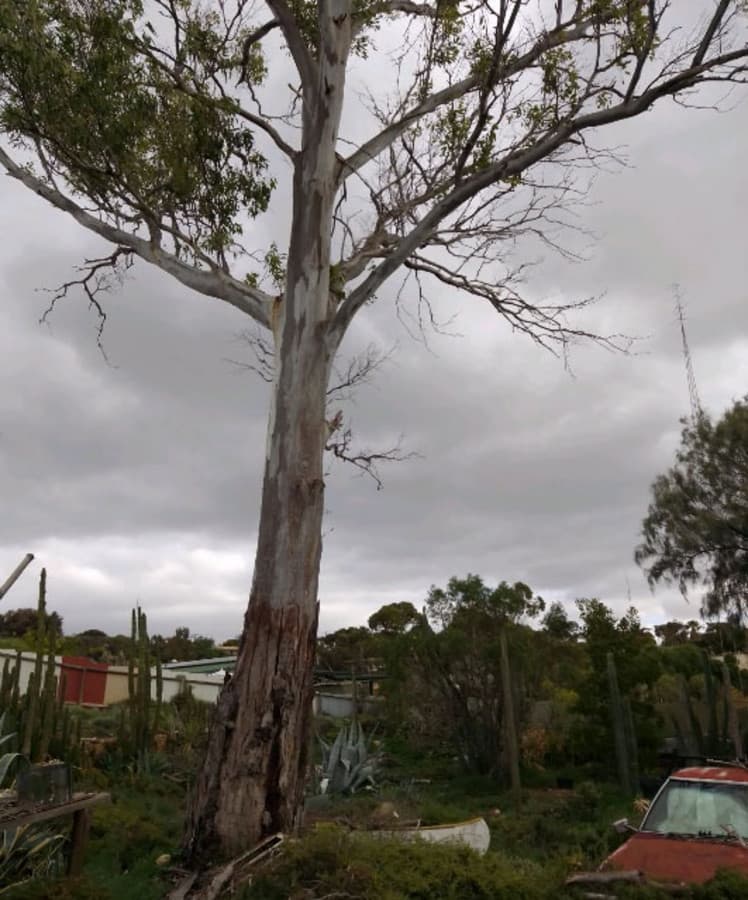 19-21 Adams Street, Blanchetown SA 5357, Blanchetown - Thumbnail 8