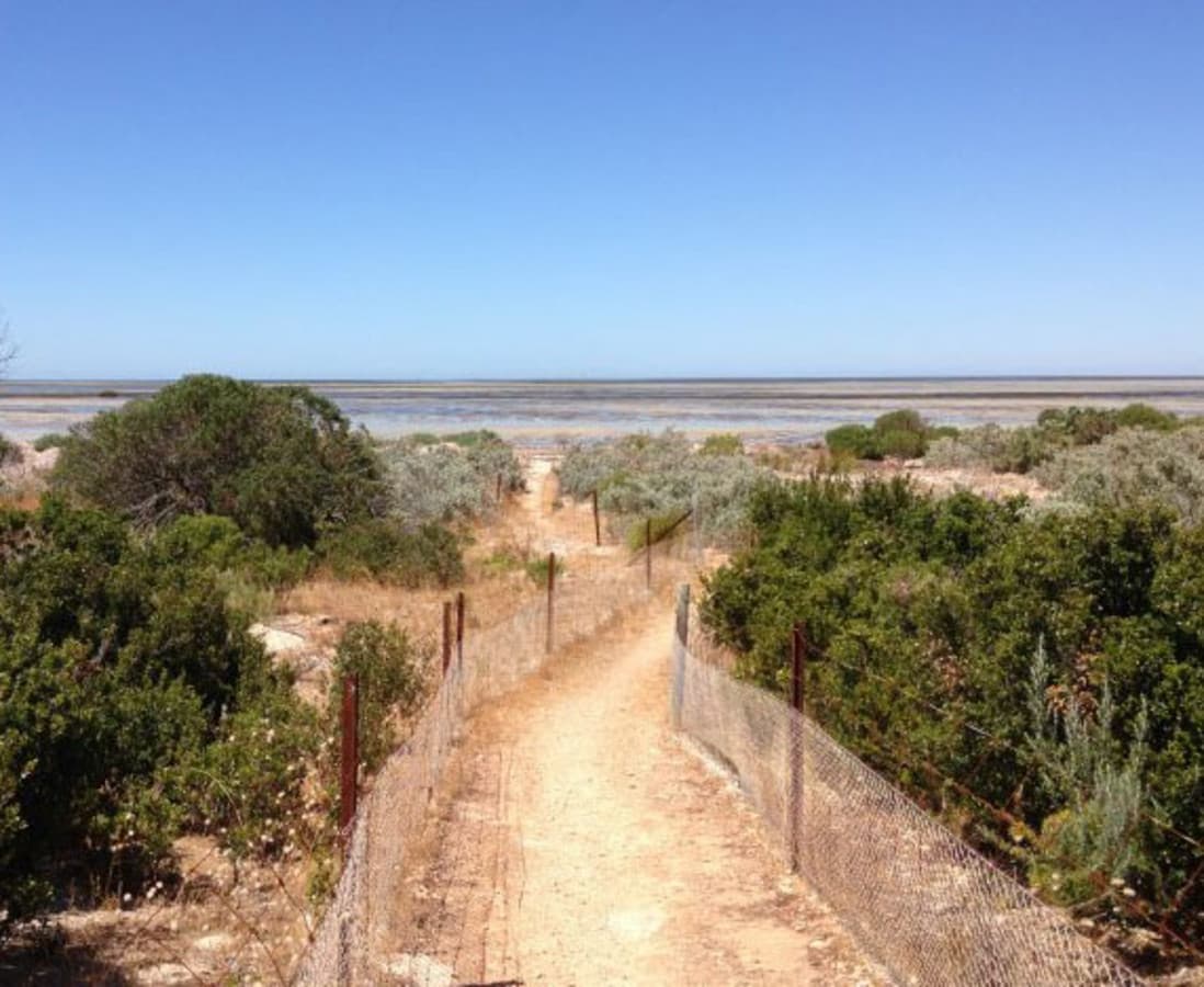 6 Kestrel Crescent, Thompson Beach SA 5501, Thompson Beach - Thumbnail 2