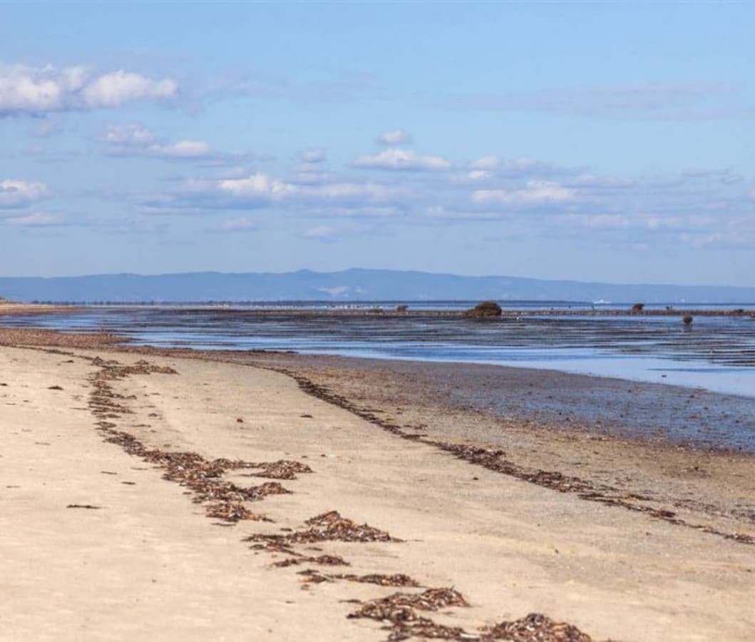 6 Kestrel Crescent, Thompson Beach SA 5501, Thompson Beach - Thumbnail 5