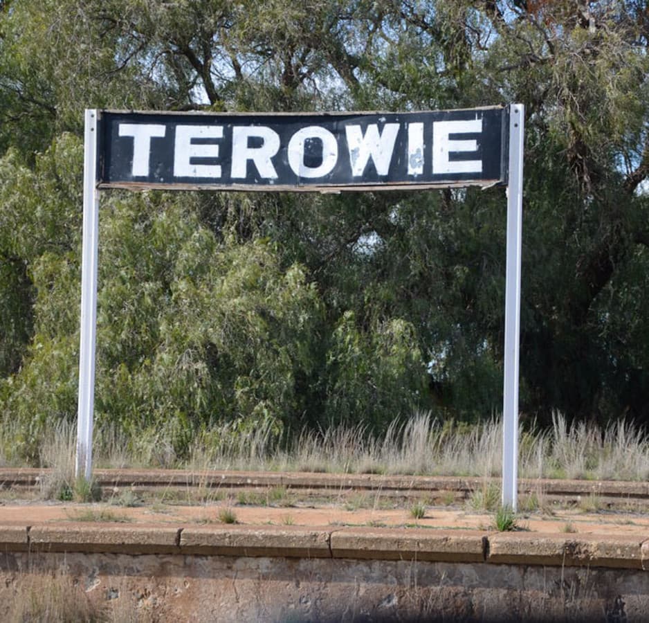 134 Mitchell Street, Terowie SA 5421, Terowie - Image 1