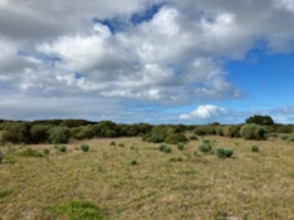 Section lot 38 Nugent Road, Foul Bay SA 5577, Foul Bay - Thumbnail 3