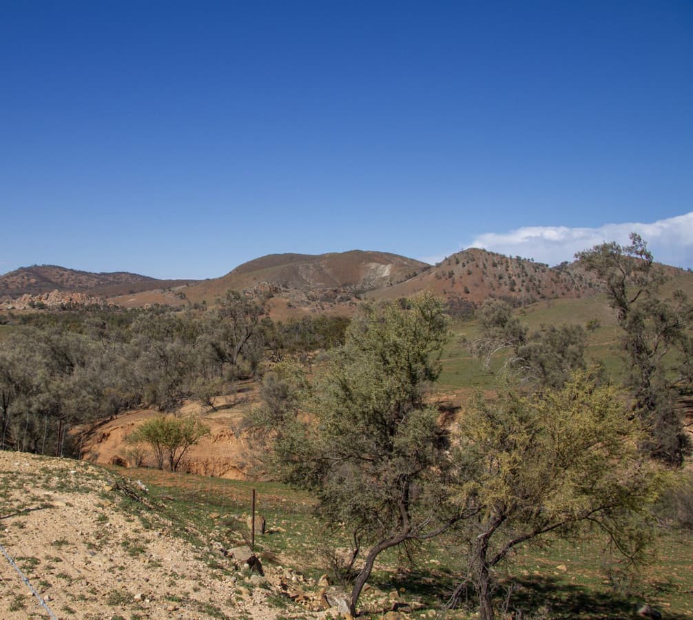 Lot number 184 West Terrace, Carrieton SA 5432, Carrieton - Thumbnail 8