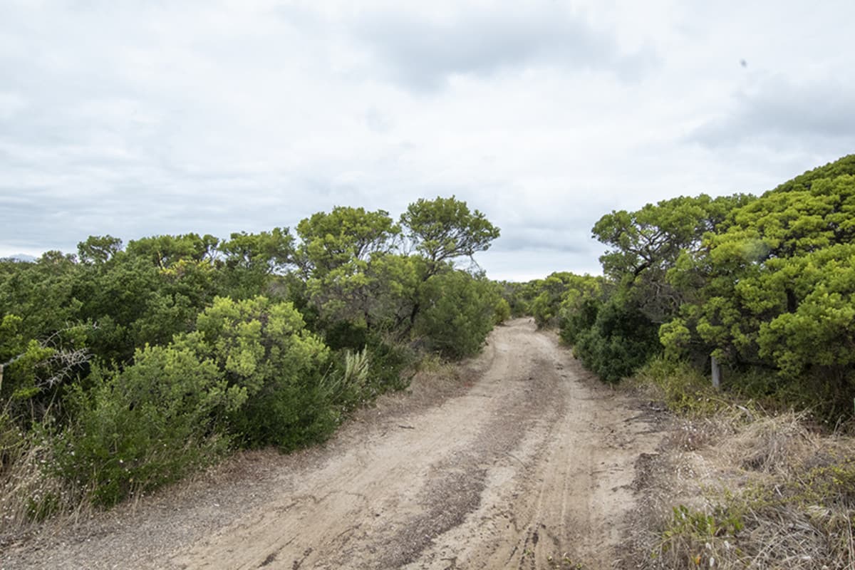 Lot Section 101 Nugent Road, Foul Bay SA 5577, Foul Bay - Thumbnail 4