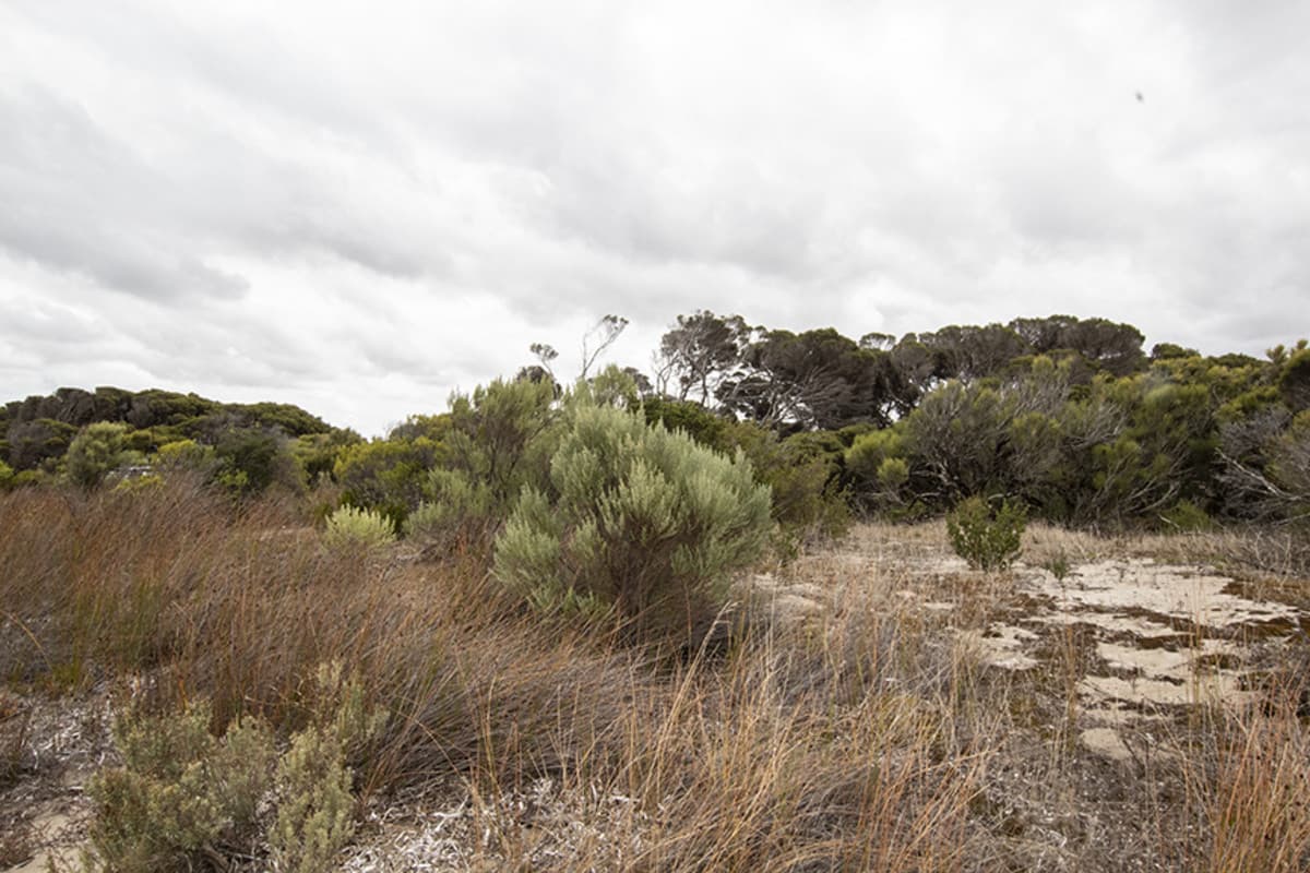 Lot Section 101 Nugent Road, Foul Bay SA 5577, Foul Bay - Thumbnail 8