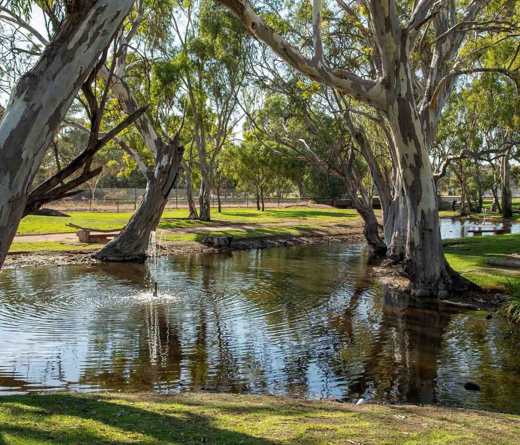 Lot 7, 8 and 9 Creecoona Terrace, Bordertown SA 5268, Bordertown - Thumbnail 6
