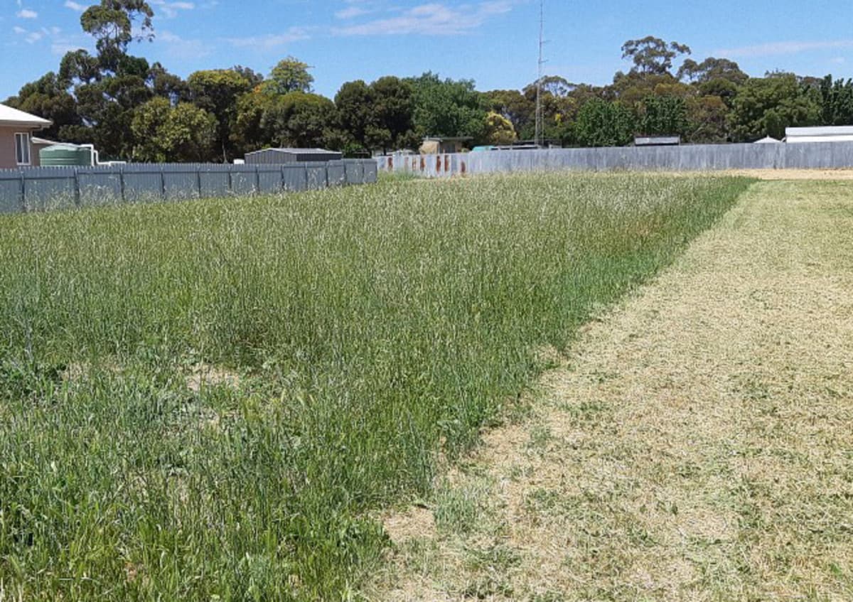 Lot 19 Densley Avenue, Bordertown SA 5268, Bordertown - Thumbnail 6