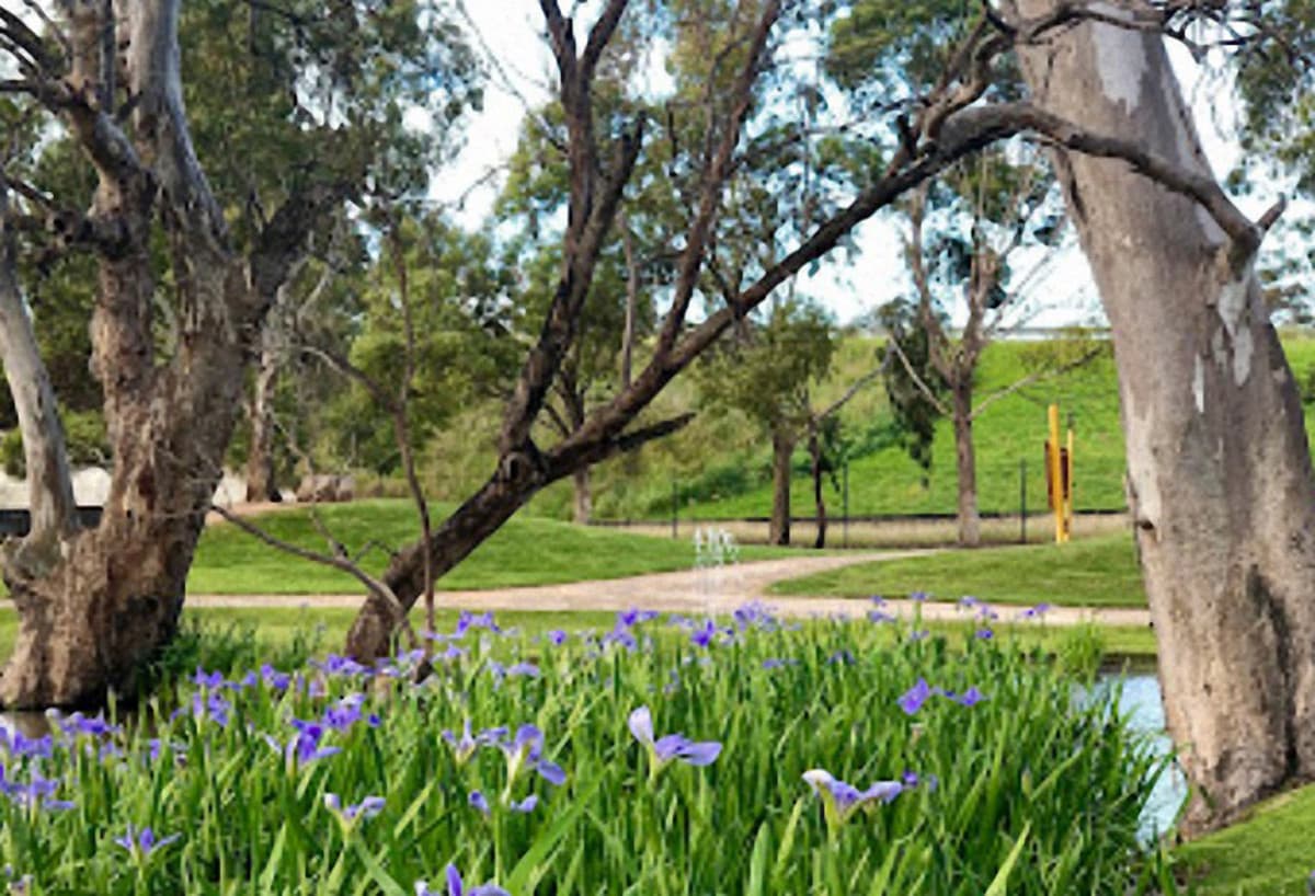 Lot 19 Densley Avenue, Bordertown SA 5268, Bordertown - Thumbnail 8