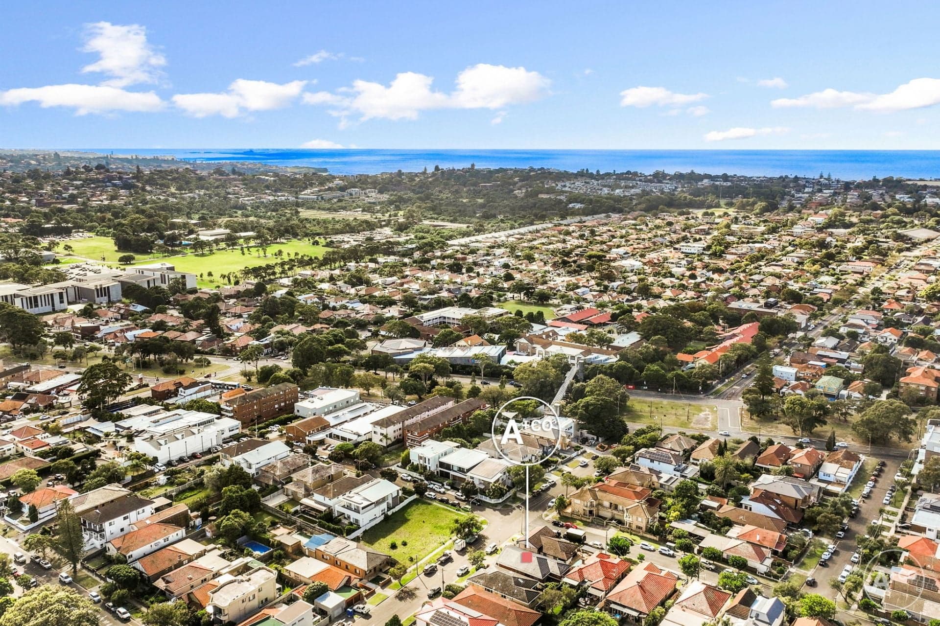 97 Storey Street, Maroubra, Maroubra - Image 1