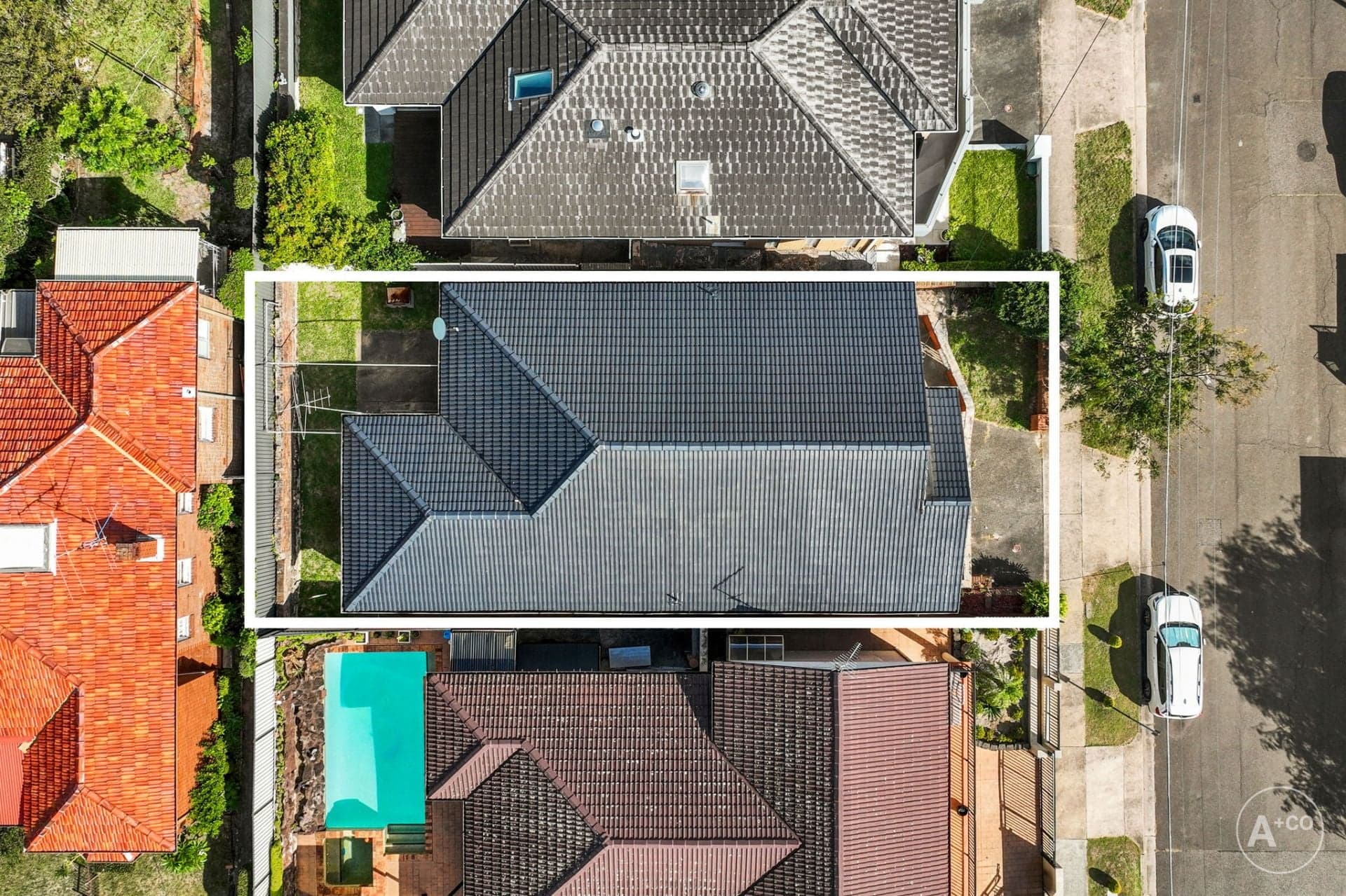 97 Storey Street, Maroubra, Maroubra - Thumbnail 3
