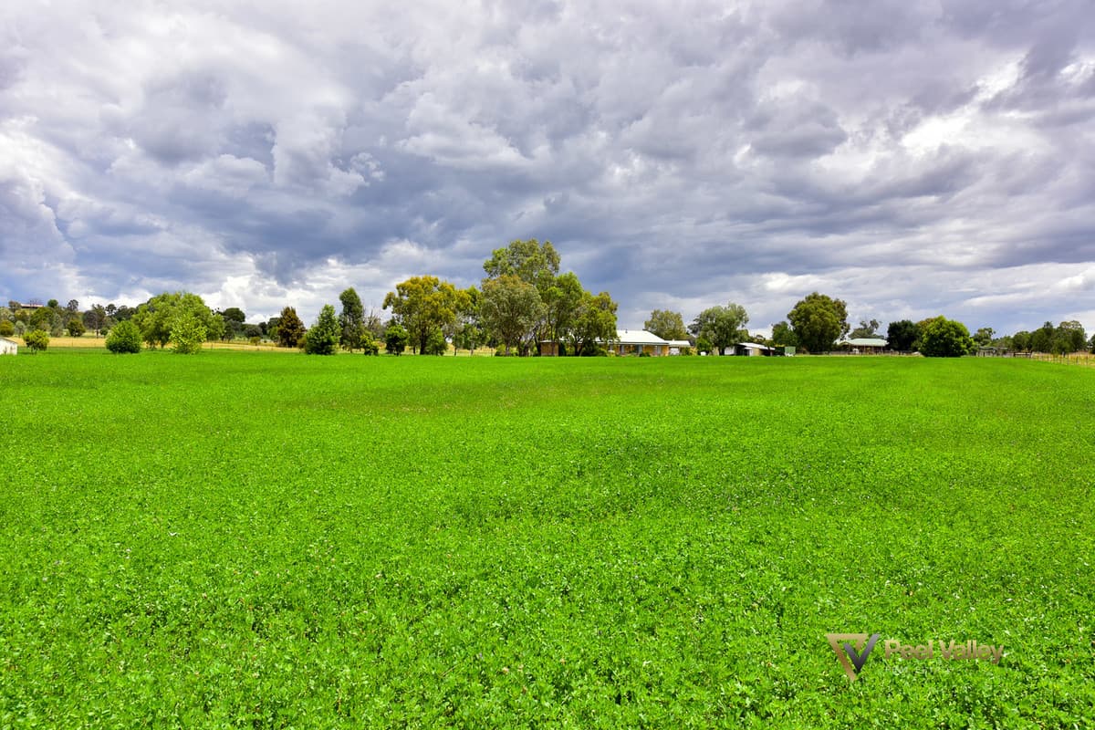 22 Impala Estate Road, TAMWORTH NSW 2340, Tamworth - Thumbnail 3
