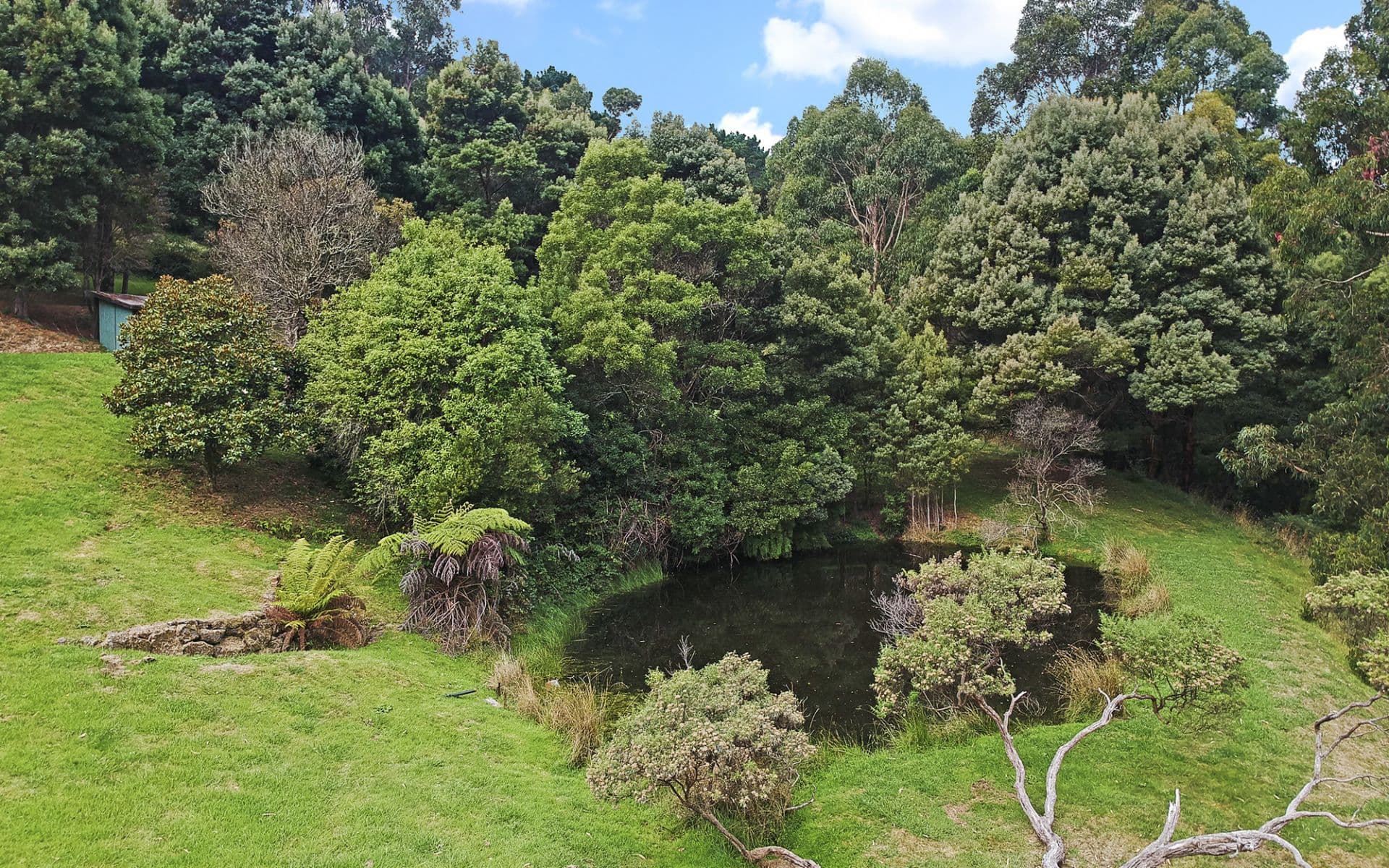 20 - 50 Busty Road, Apollo Bay - Image 1