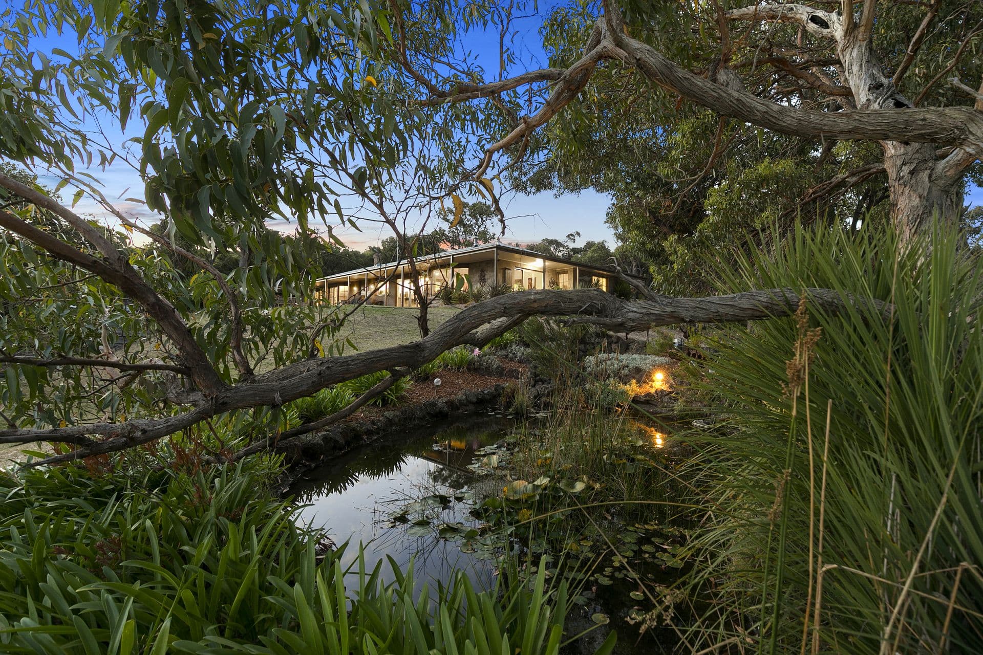 60 Bimbadeen Drive, Fairhaven - Thumbnail 8