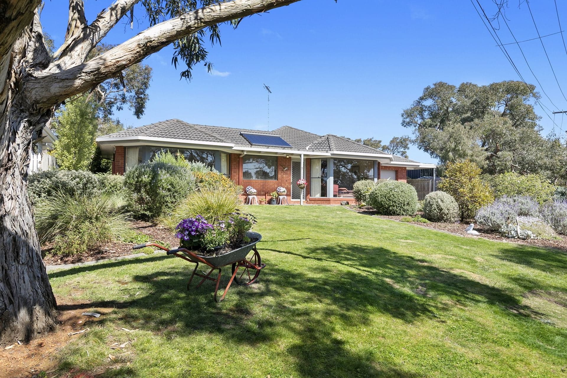 26 Pickworth Drive, Anglesea - Thumbnail 2