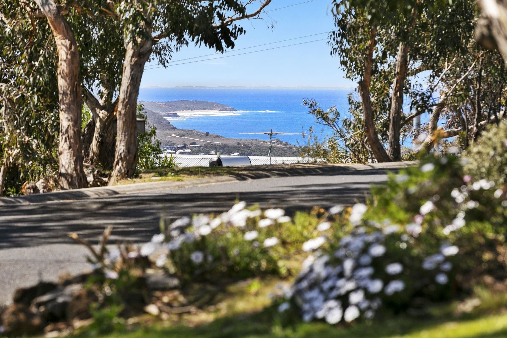 26 Pickworth Drive, Anglesea - Thumbnail 3