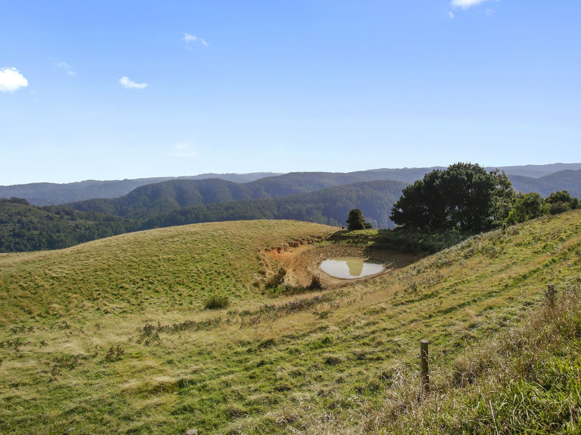 365 Busty Road, Apollo Bay - Image 1