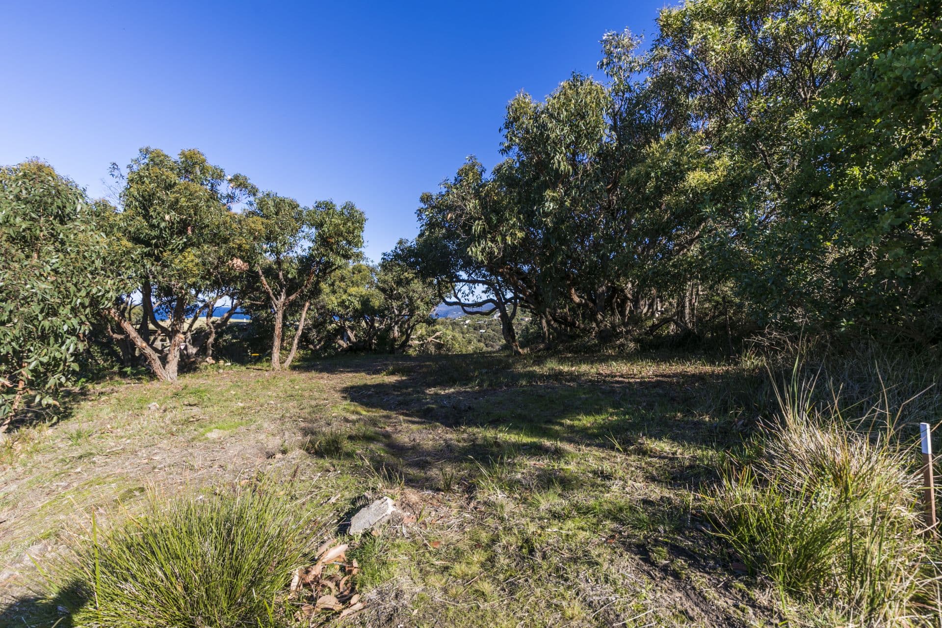 23 Ridge Road, Fairhaven - Thumbnail 5