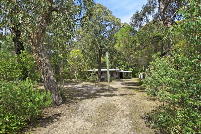 31 Hopkins Street, Aireys Inlet - Thumbnail 7