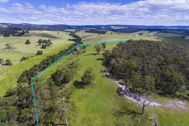 53 Smiths  Lane, Deans Marsh - Image 1