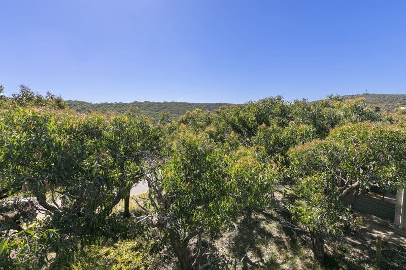 15 She Oak Crescent, Fairhaven - Thumbnail 8