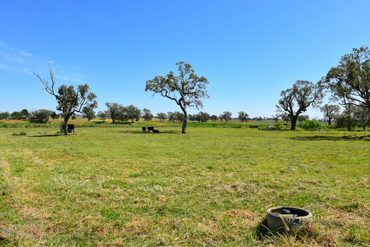 486 Warral Road, TAMWORTH NSW 2340, Tamworth - Thumbnail 4