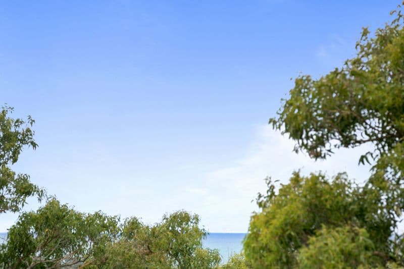 23 George Street, Anglesea - Thumbnail 3