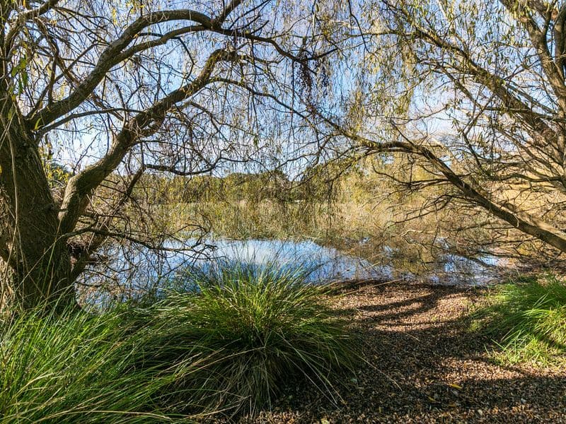 2 Sanctuary Road, Aireys Inlet - Image 1