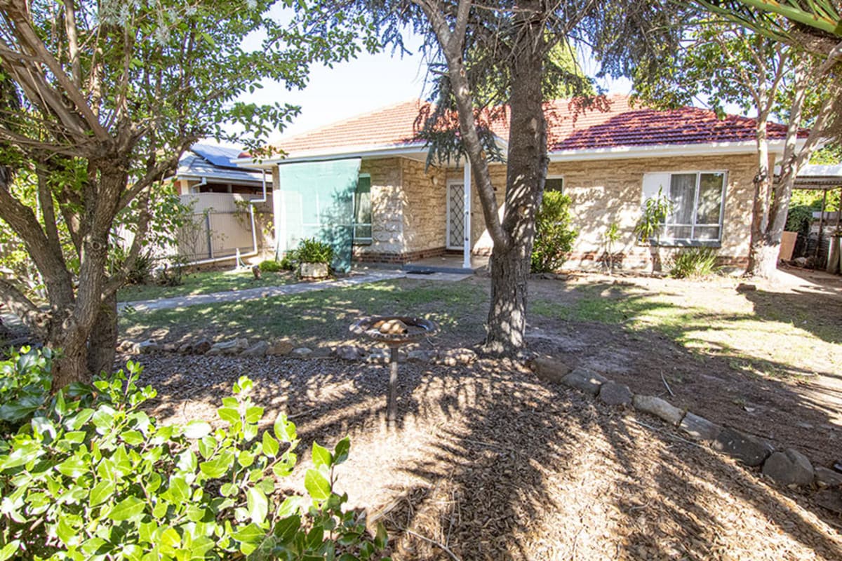38 Allambee Avenue, Edwardstown SA 5039, Edwardstown - Thumbnail 2