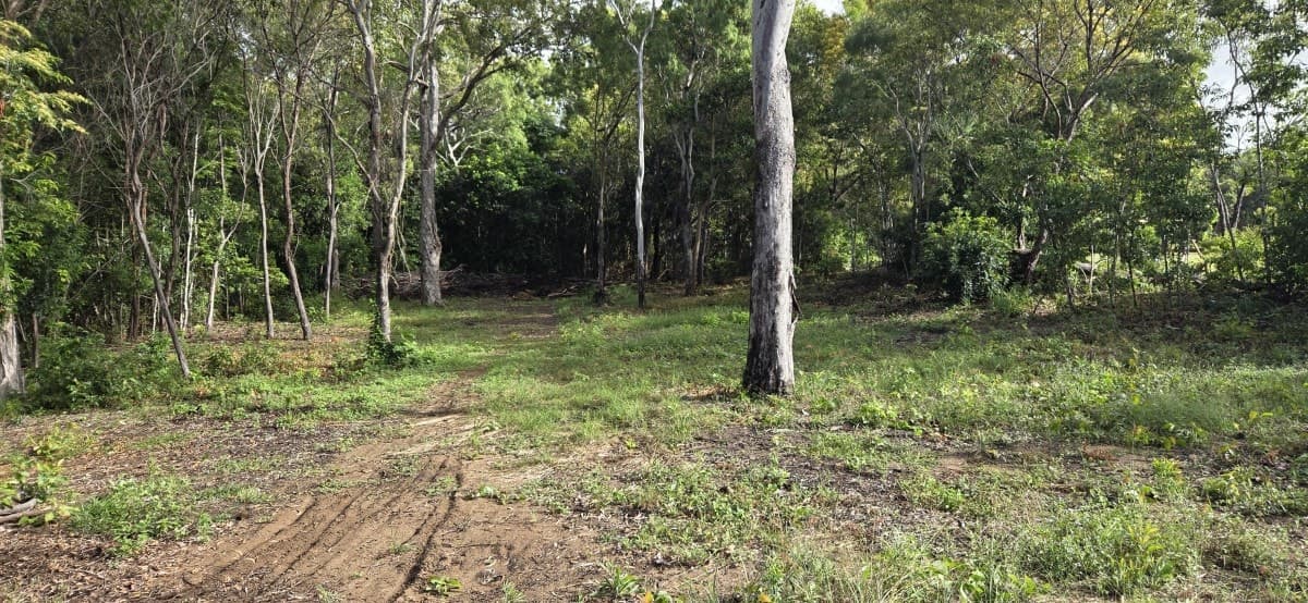 19 Mahogany Drive, Forrest Beach, QLD, Forrest Beach - Thumbnail 3
