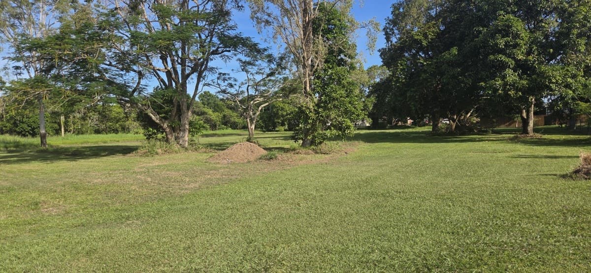 37 Morehead Street, Ingham, QLD, Ingham - Thumbnail 3