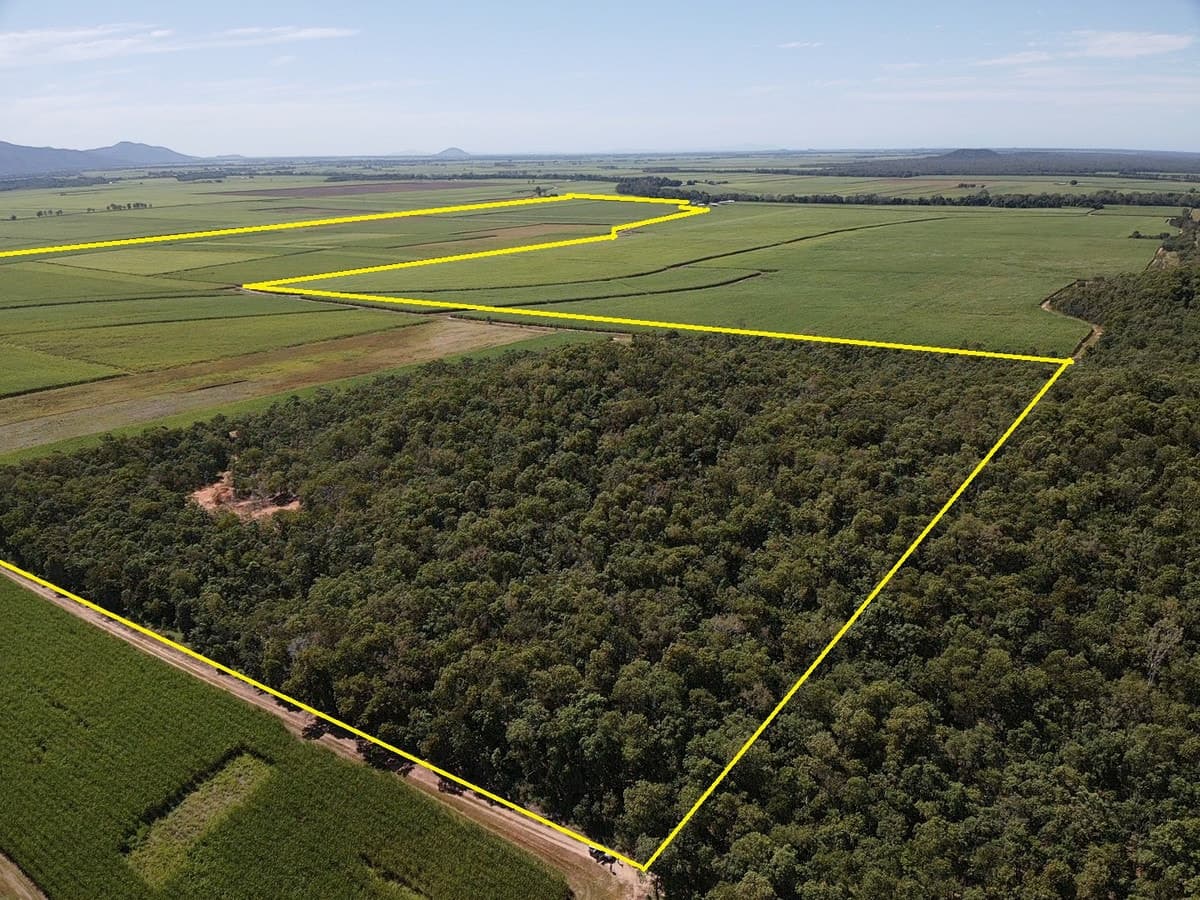 Lot 101 & 3 Lannercost Extension Road, Lannercost, QLD, Lannercost - Thumbnail 3