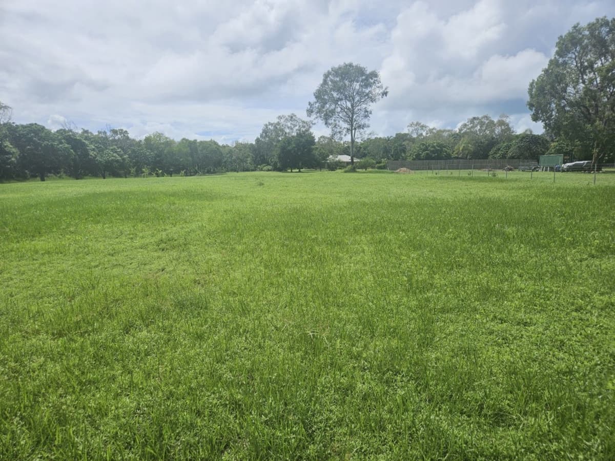 78 Beatts Road, Forrest Beach, QLD, Forrest Beach - Thumbnail 2