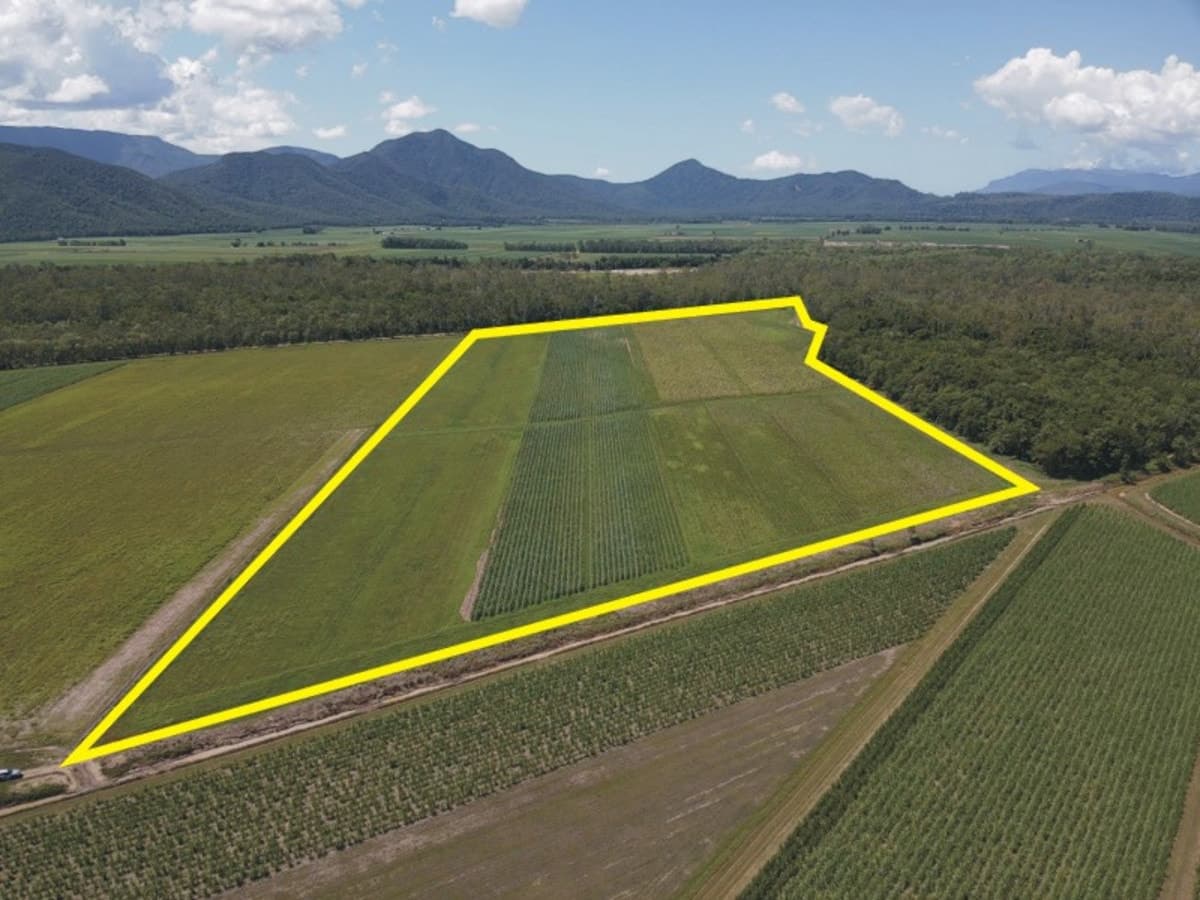 Lot 162 Covells Road, Gairloch, QLD, Gairloch - Thumbnail 2