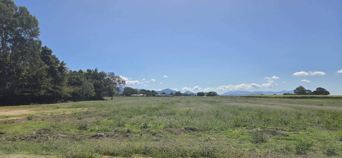 Scovazzi's Road, Toobanna, QLD, Toobanna - Thumbnail 3
