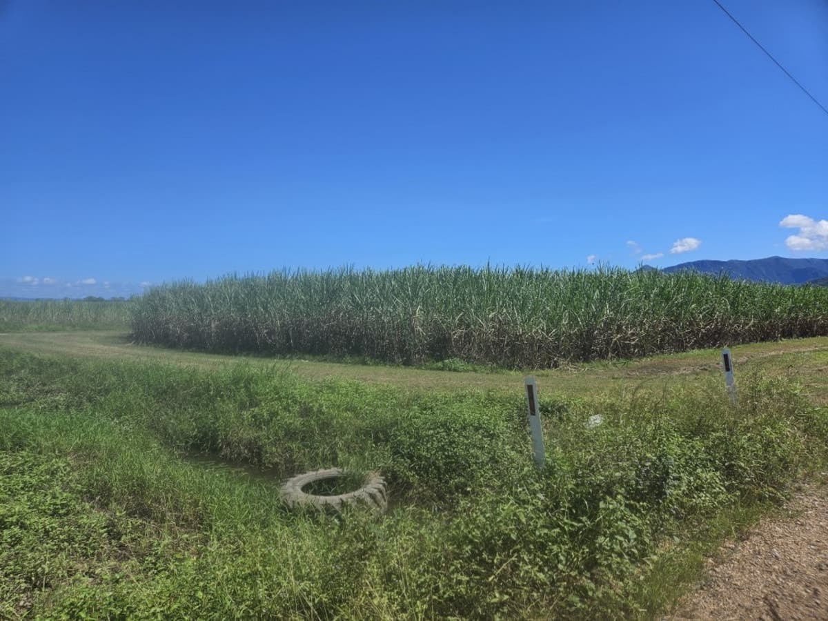 Lot 2 Hawkins Creek Road, Hawkins Creek, QLD, Hawkins Creek - Thumbnail 2