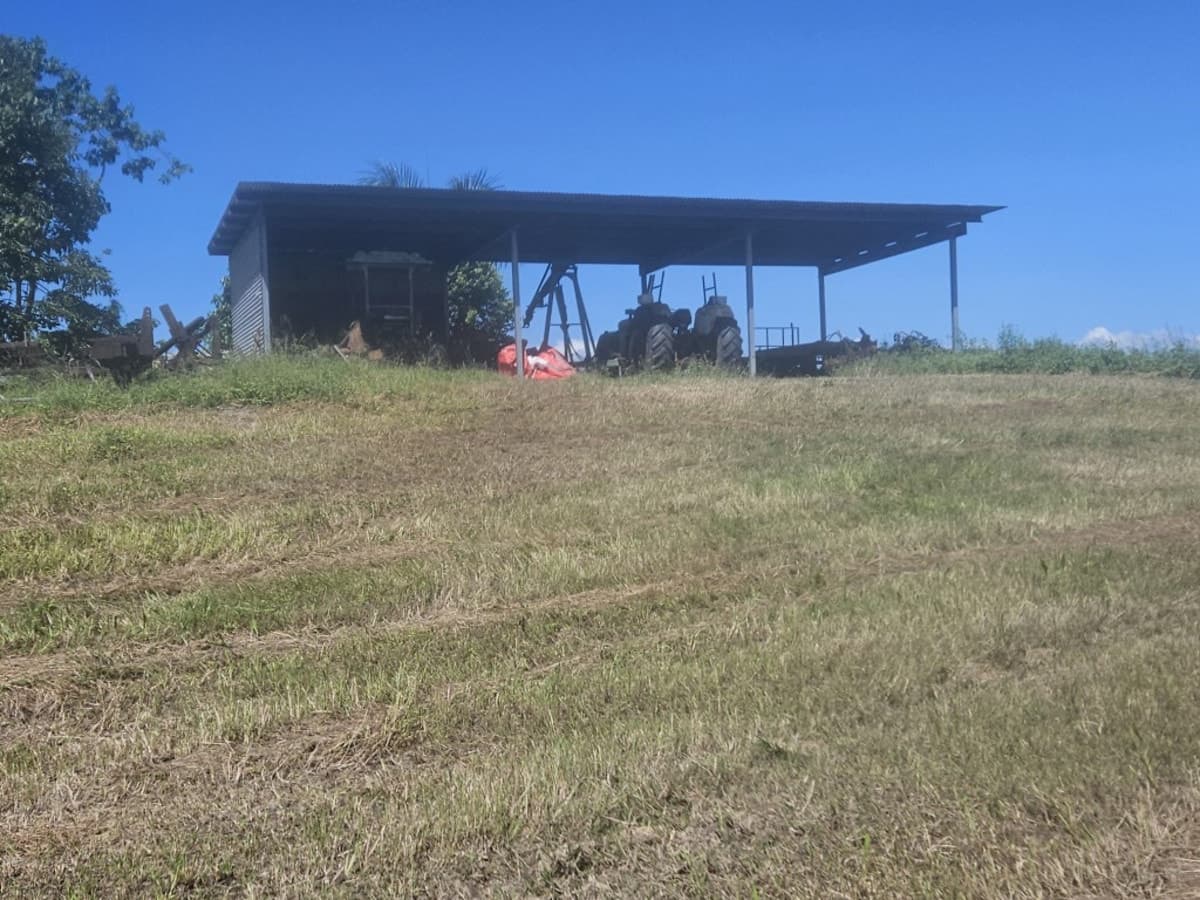 Lot 2 Hawkins Creek Road, Hawkins Creek, QLD, Hawkins Creek - Thumbnail 3