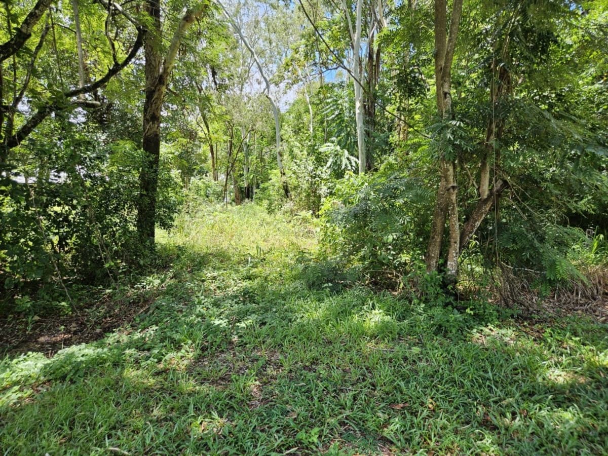 4,041 SQ.M. (JUST UNDER 1 ACRE) BEACH BLOCK IN RURAL AREA!, Forrest Beach - Thumbnail 3